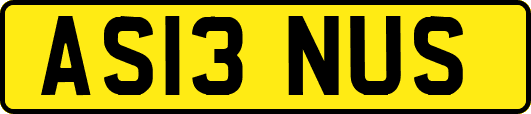 AS13NUS