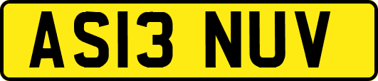 AS13NUV