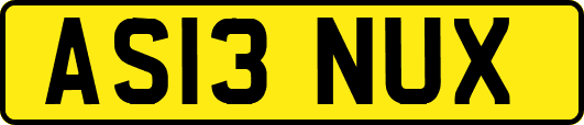 AS13NUX