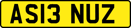 AS13NUZ