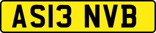 AS13NVB