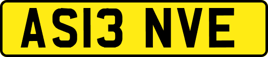 AS13NVE