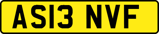 AS13NVF