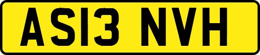 AS13NVH