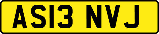 AS13NVJ
