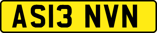 AS13NVN