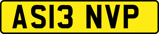 AS13NVP