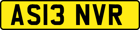 AS13NVR