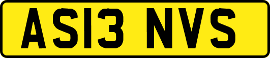 AS13NVS