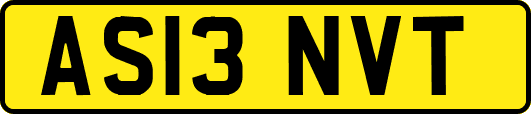 AS13NVT