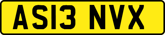 AS13NVX