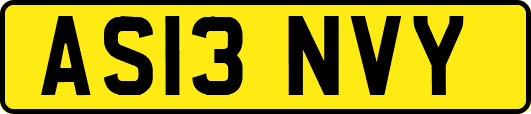 AS13NVY