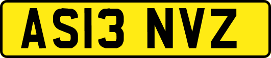 AS13NVZ