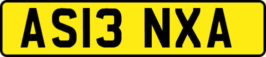 AS13NXA