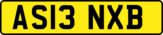 AS13NXB