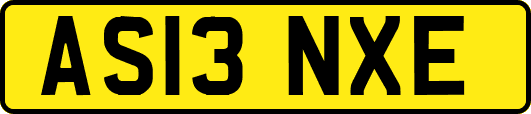 AS13NXE