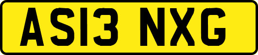 AS13NXG