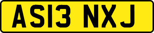 AS13NXJ