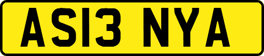 AS13NYA