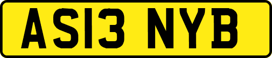 AS13NYB