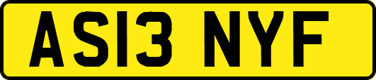 AS13NYF