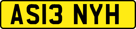 AS13NYH