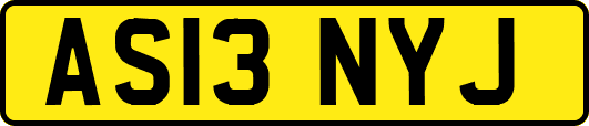 AS13NYJ