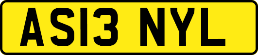 AS13NYL