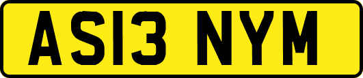 AS13NYM