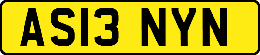 AS13NYN