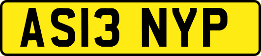 AS13NYP