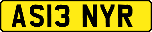 AS13NYR