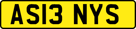 AS13NYS
