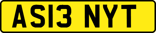 AS13NYT