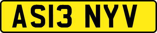 AS13NYV