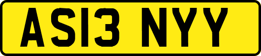 AS13NYY