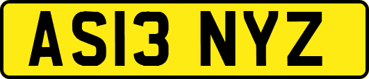 AS13NYZ