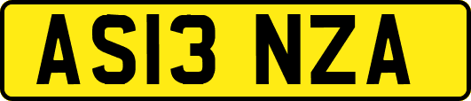 AS13NZA