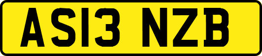 AS13NZB