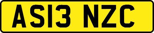 AS13NZC