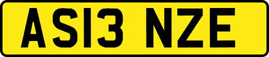 AS13NZE