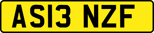 AS13NZF