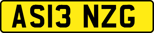 AS13NZG