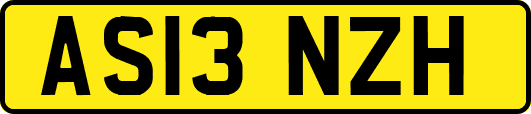 AS13NZH