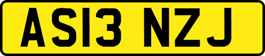 AS13NZJ
