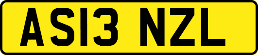 AS13NZL