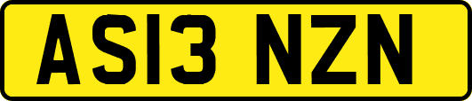 AS13NZN