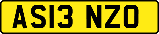 AS13NZO