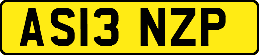 AS13NZP