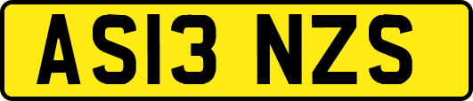 AS13NZS